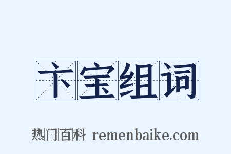 卞宝组词是什么意思的图片